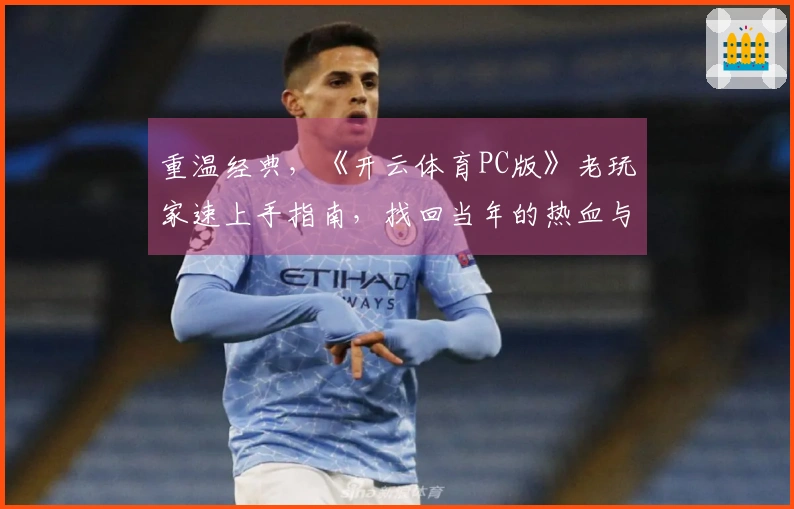 重温经典，《开云体育PC版》老玩家速上手指南，找回当年的热血与技巧