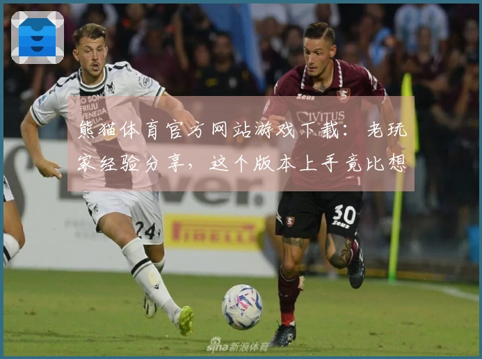 熊猫体育官方网站游戏下载：老玩家经验分享，这个版本上手竟比想象中简单！