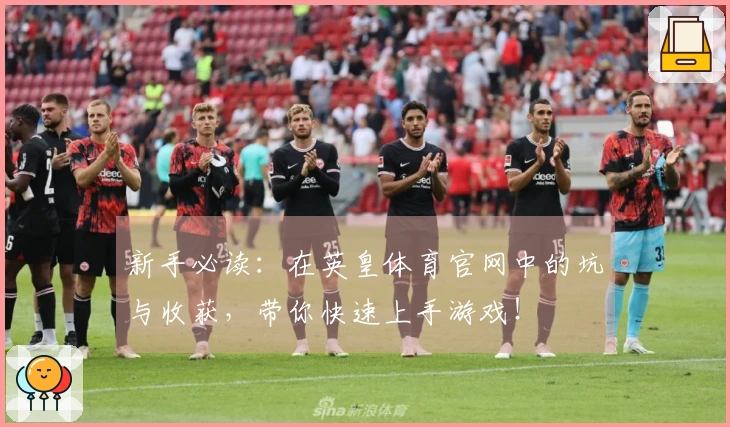 新手必读：在英皇体育官网中的坑与收获，带你快速上手游戏！