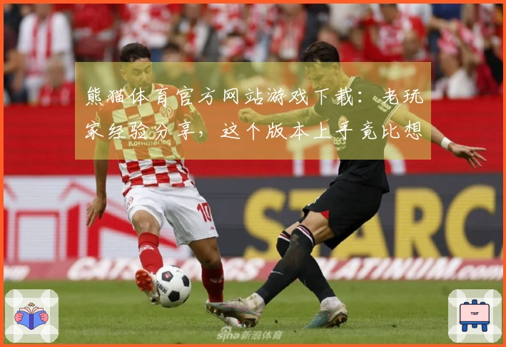 熊猫体育官方网站游戏下载：老玩家经验分享，这个版本上手竟比想象中简单！